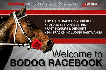 bodog racebook